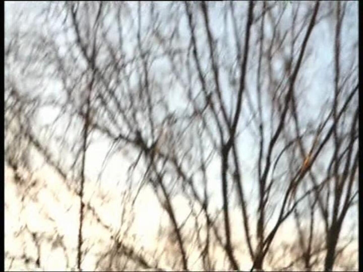 Rajoy cree que España tiene «sed de urna» para abrir «un nuevo tiempo»