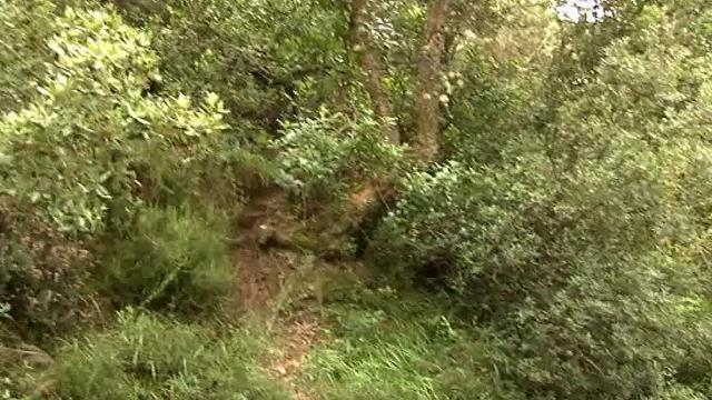 Prisión provisional sin fianza para el &#039;rambo de Cantabria&#039;