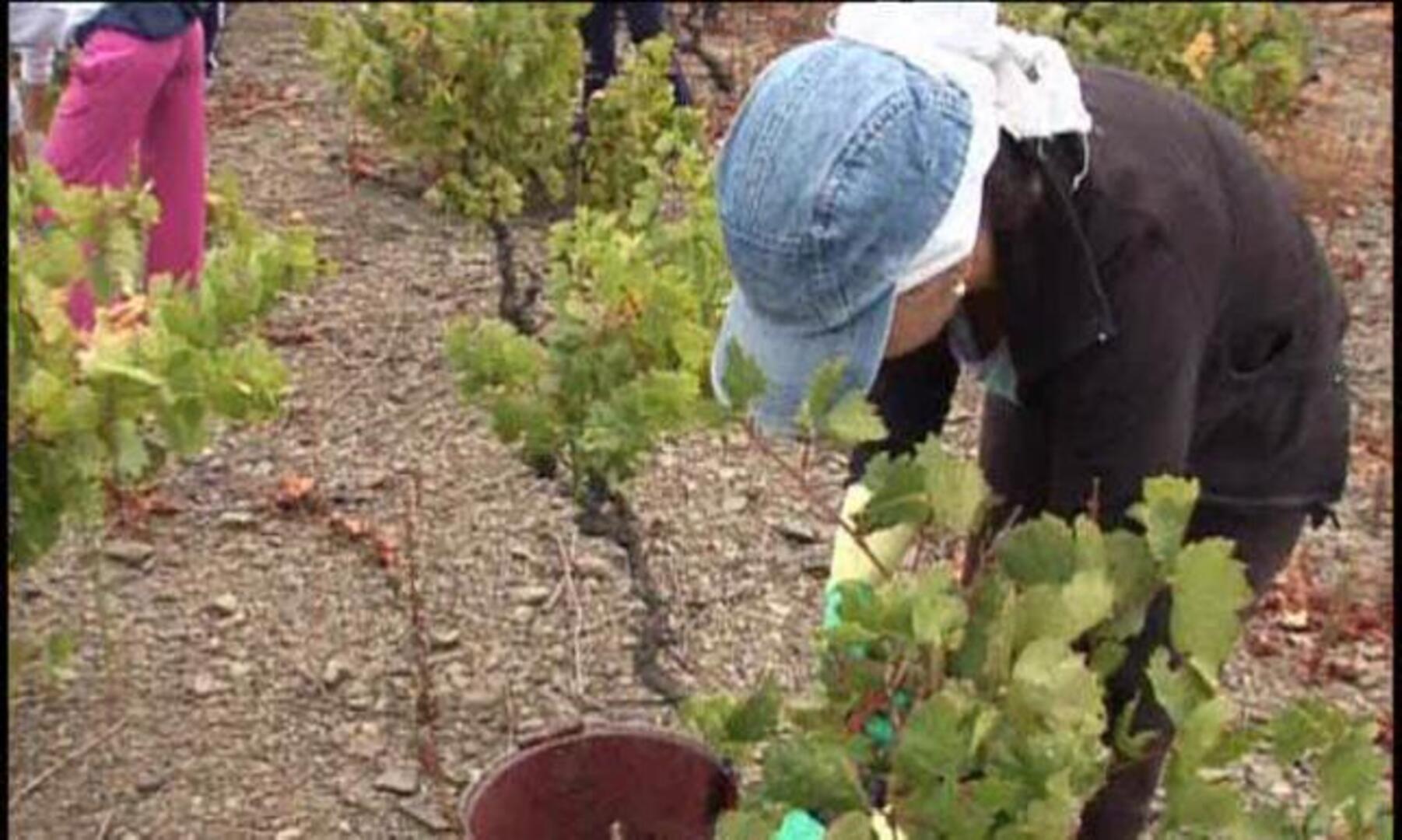 Crece un 8% el número de españoles en el extranjero en el último año