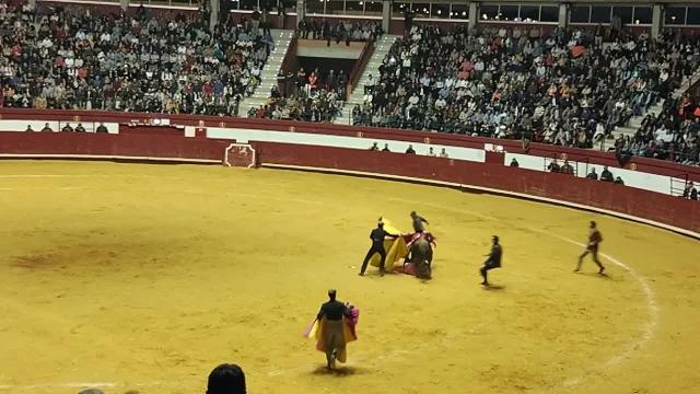 Herida la novillera Rocío Romero tras ser cogida por un toro