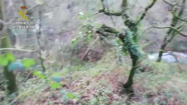 Guardia Civil investiga presunto delito contra medio ambiente en Galicia