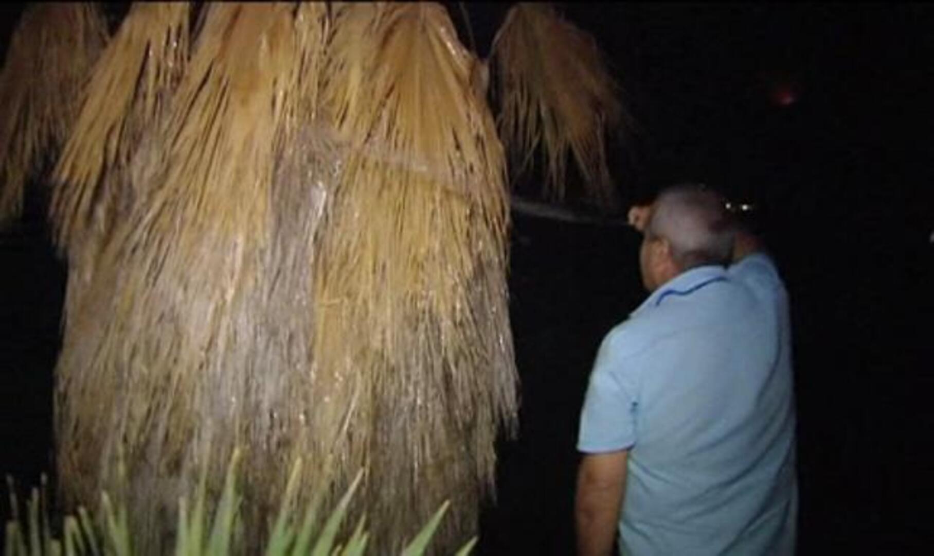 Permanecen activos los incendios de Tenerife y La Palma