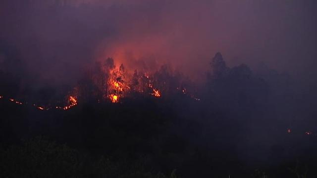 Estabilizado el incendio que ha arrasado la Sierra de la Sollera, en Asturias