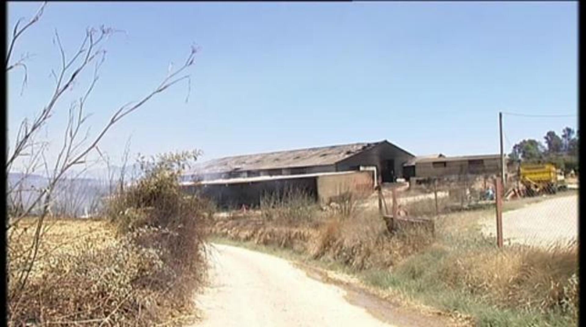 Los incendios forman parte del ciclo biológico de la tierra, según un investigador del CSIC