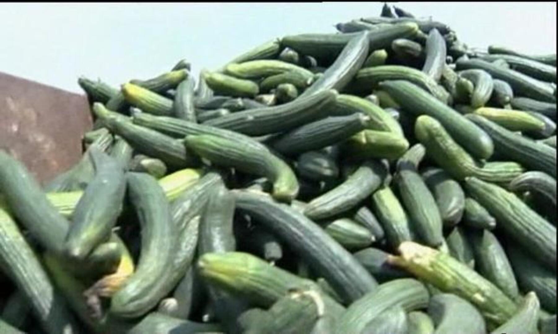 Las autoridades sanitarias ven muy probable que el hospitalizado en San Sebastián tenga E. coli