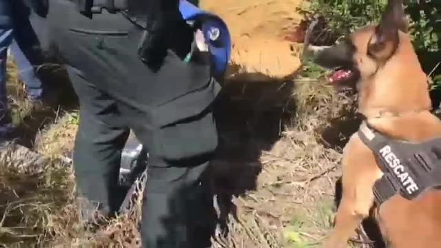 Las alucinaciones psicóticas de la presunta parricida de Godella: &quot;Se creía Eva y María Magdalena&quot;