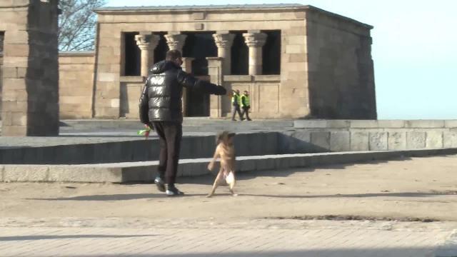 Métodos para superar la tristeza