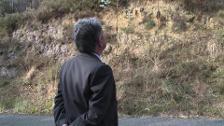 Detenido jefe de Protección Civil por incendio en Cantabria
