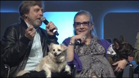 Vídeo: Carrie Fisher, la princesa Leia de ‘Star Wars’, muere de un infarto