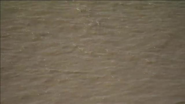 La ballena beluga del Támesis sigue perdida en el caudal del río