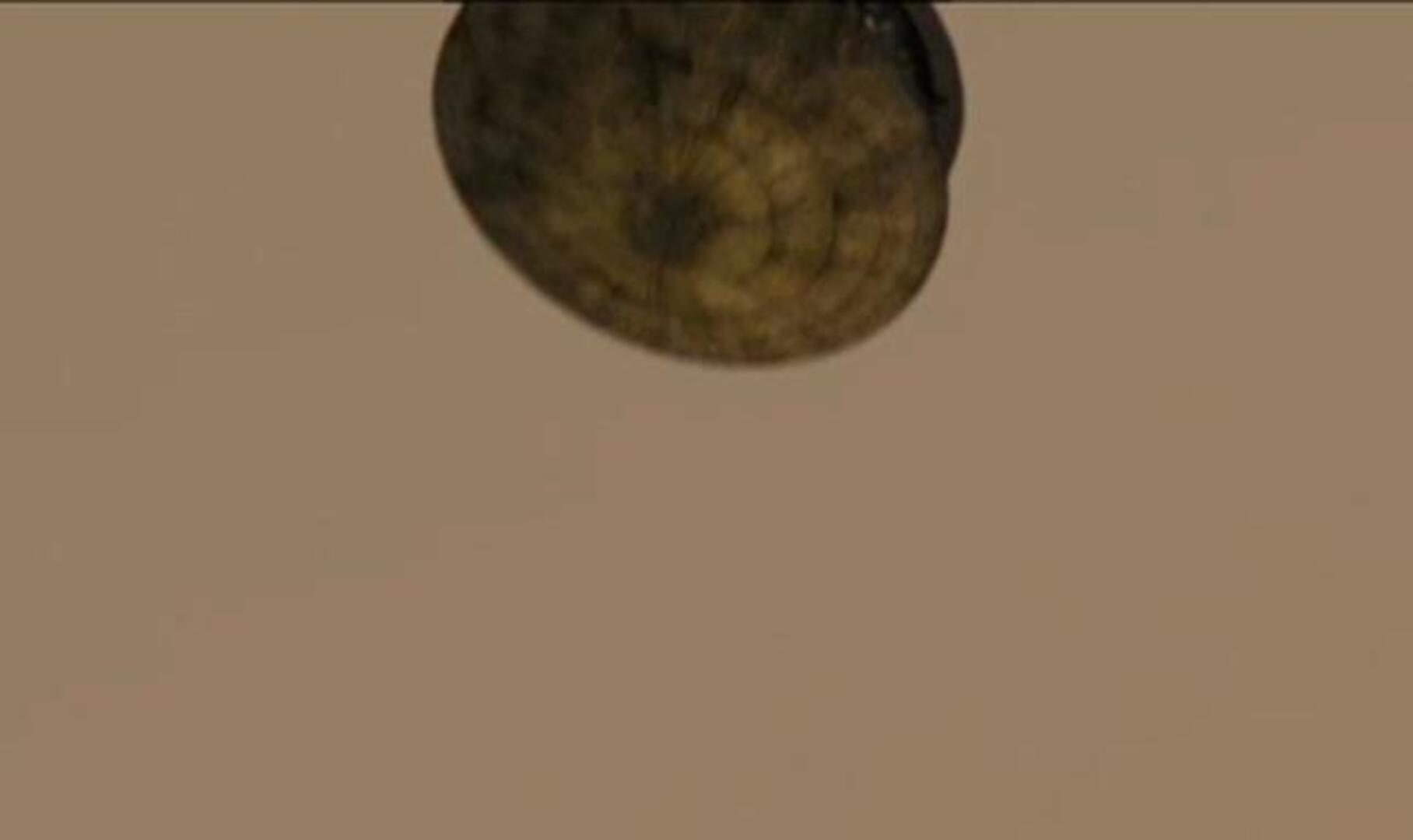 El Curiosity aterrizó en Marte: crónica de siete minutos de terror