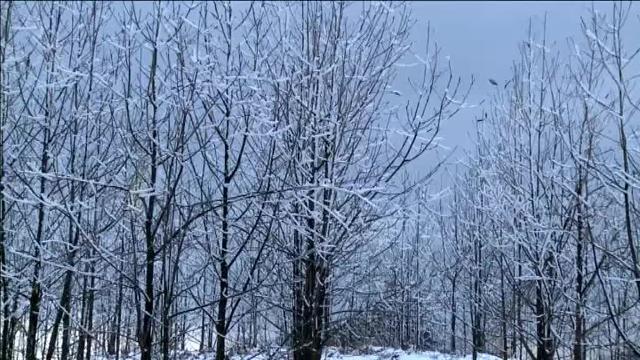 Una ola de frío polar alcanza el suroeste de China