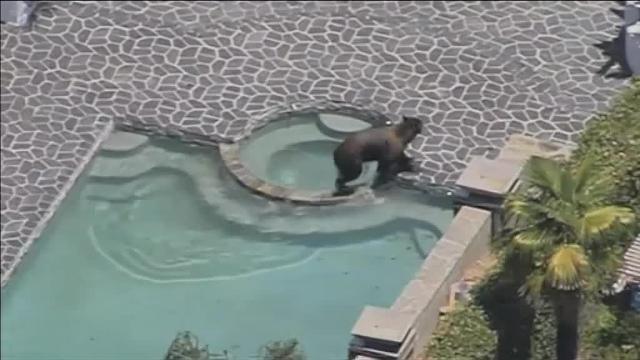 Un bañito para combatir el calor