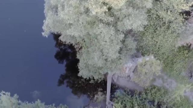 Mi amigo el gigante existe y está en Copenhague