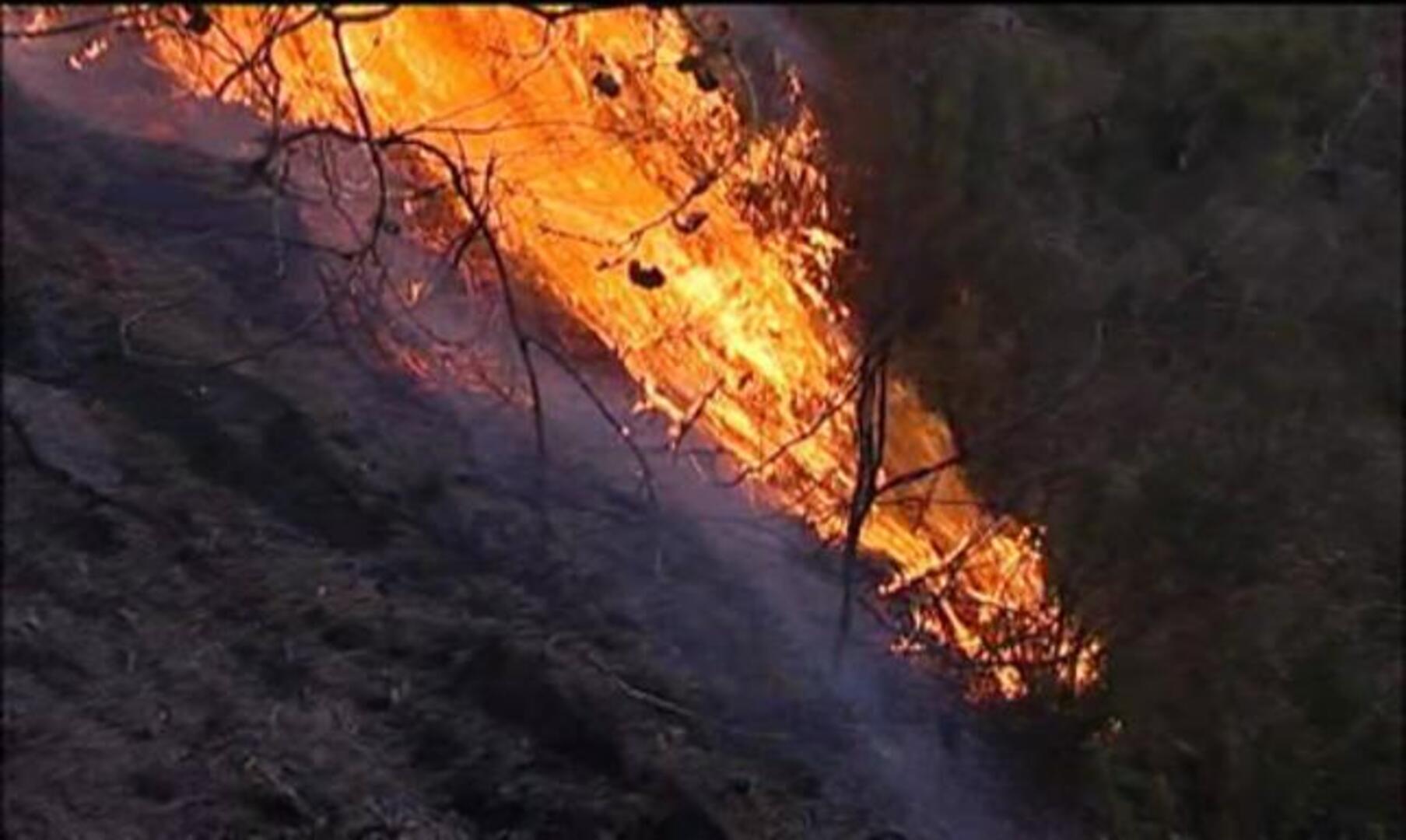 Los detenidos por quemar el monte se duplican en 2012