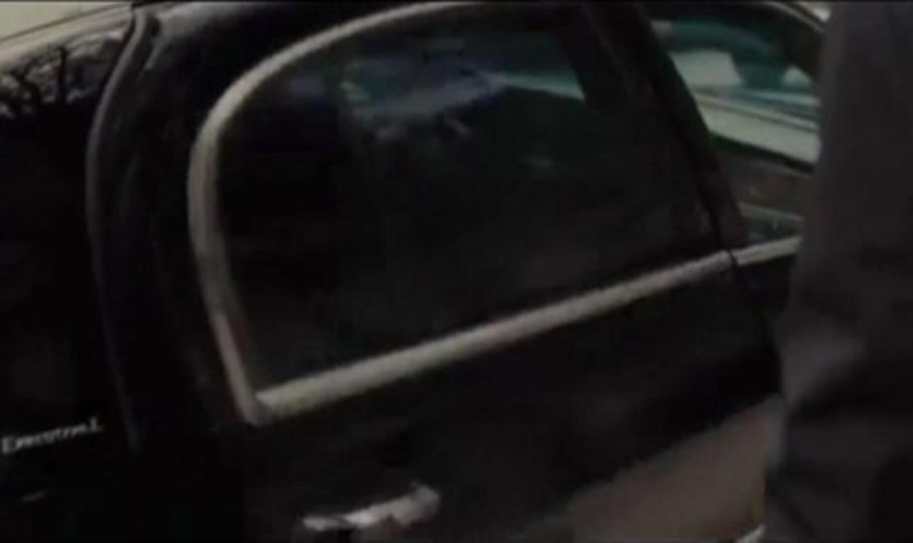 Richard Gere y Susan Sarandon, dos cisnes en el jardín donostiarra