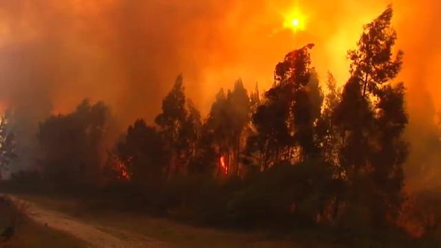 El fuego continúa devastando Galicia