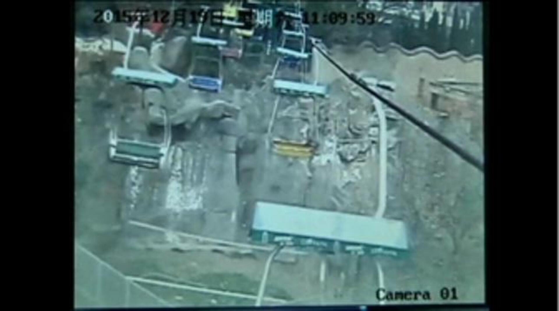 Un hombre salta a la jaula de los tigres en un zoo de China