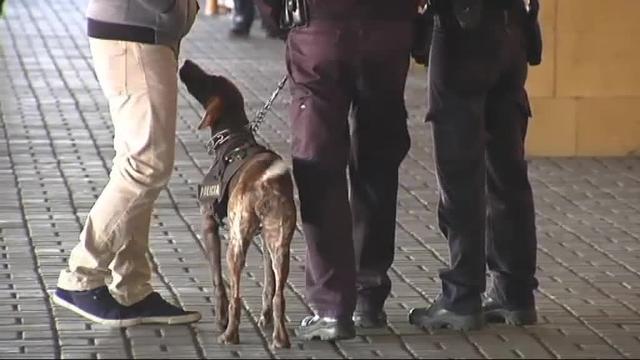 Detienen a un militar de la comitiva de Jair Bolsonaro con 39 kilos de cocaína en el aeropuerto de Sevilla