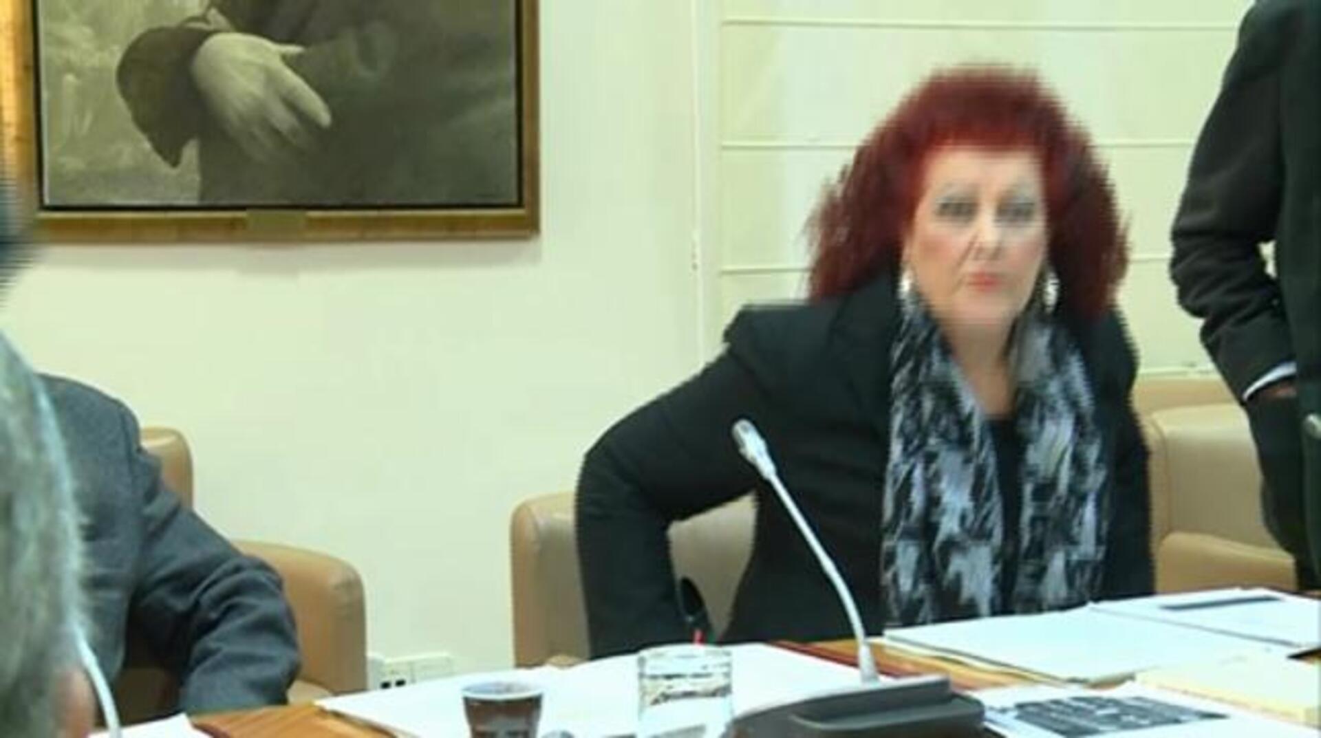 Imagen de Consuelo Císcar tomada este lunes en el pleno del Consell Valencià de Cultura