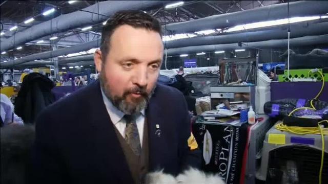 Los perros de raza también tienen su hueco en la Semana de la Moda de Nueva York