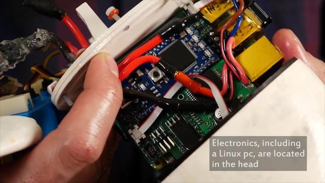 &#039;SoFi&#039;, el pez robótico que documentará la vida marina