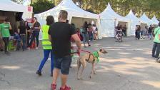 El Retiro celebra el 'Salón para la Adopción de Animales de Compañía'