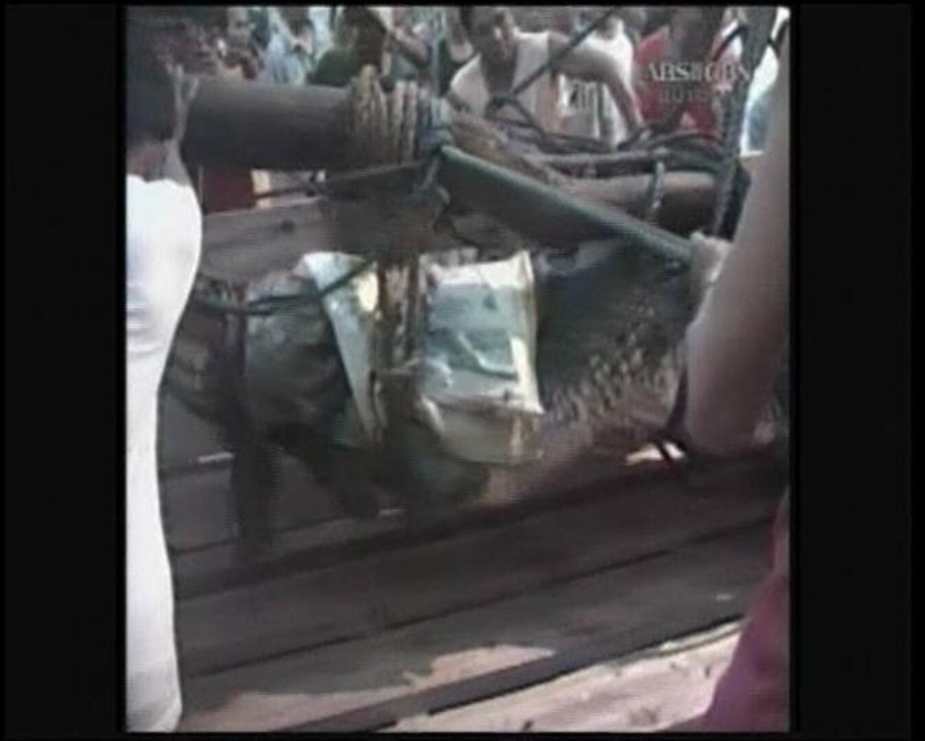 Filipinas captura un cocodrilo de seis metros de largo