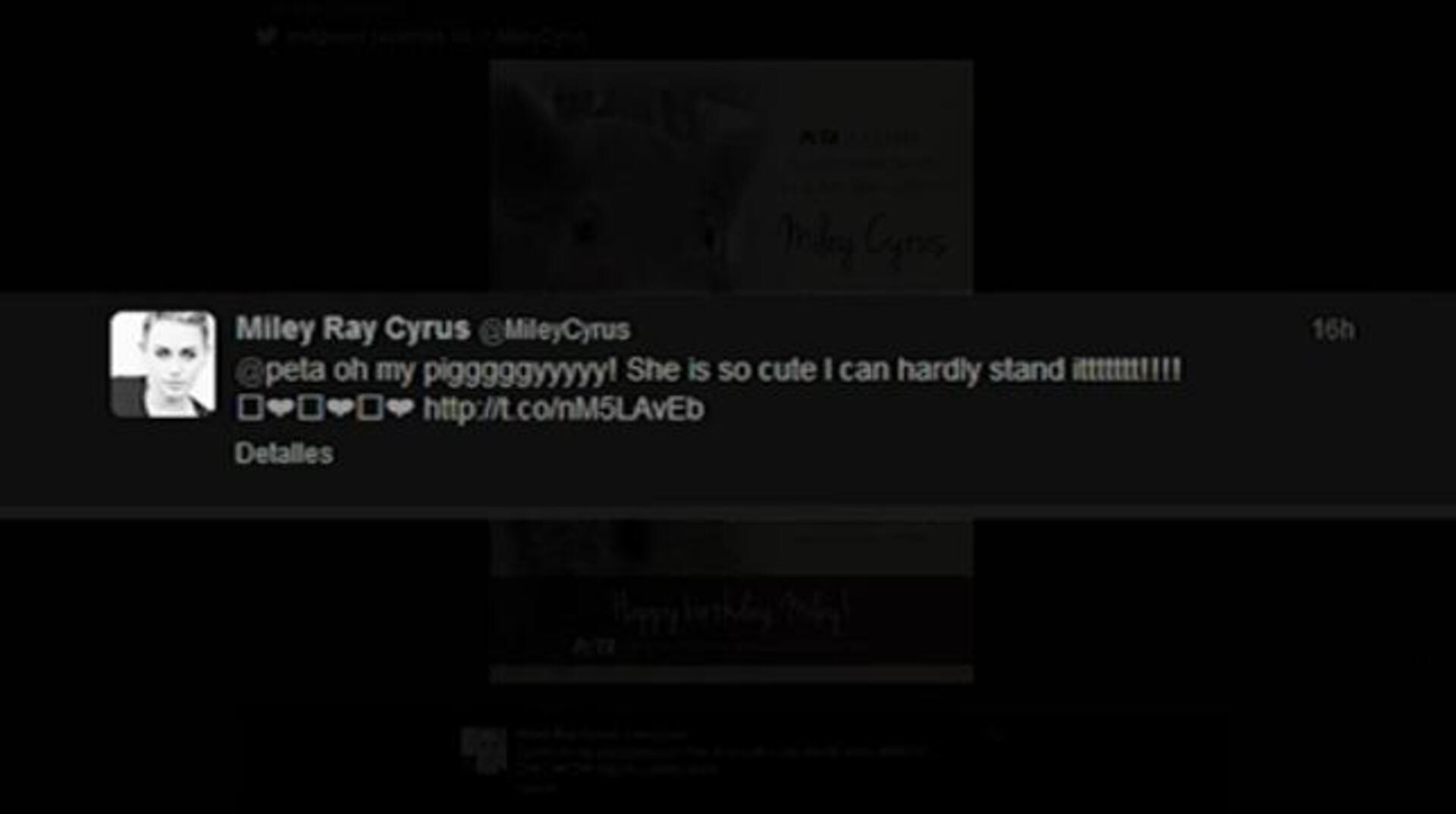 Miley Cyrus recibe un cerdo como regalo de cumpleaños