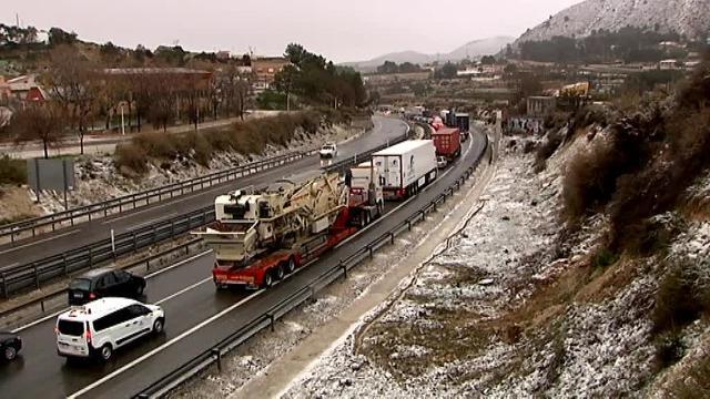 Imagen del árbol caído en la calle Navarro Reverter