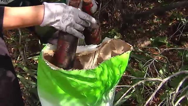 Denuncian la falta de conservación de las vías pecuarias