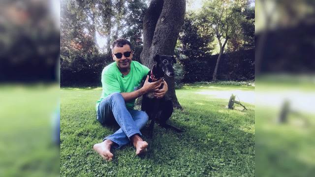 Los famosos y su relación con los animales