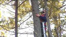 Un hombre llama a los bomberos en Sevilla para que rescaten a un gato y le cobran el servicio