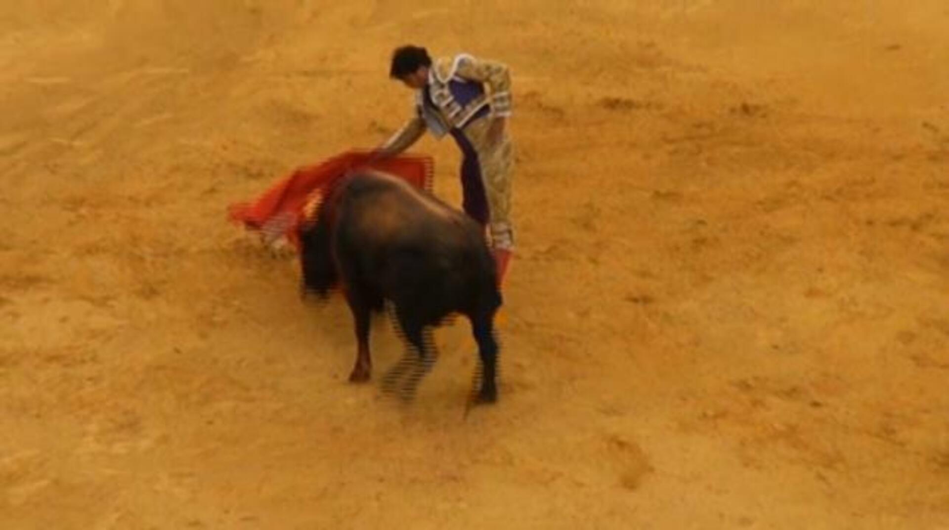 El mundo del toro apoya a Paquirri