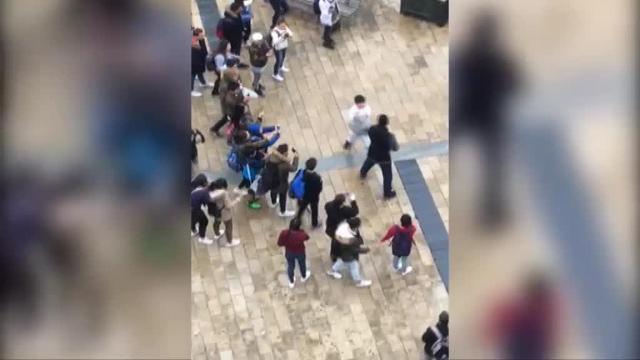 Siete de cada diez jóvenes españoles han sufrido algún tipo de &#039;violencia viral&#039; siendo niños