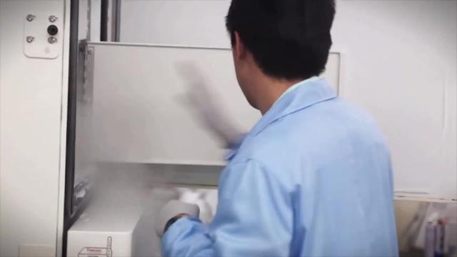 Integración de los nuevos fotorrecptores en la retina del ratón huésped