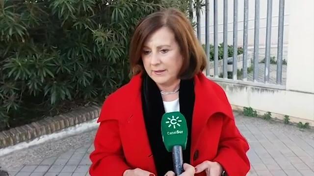 PSOE-A pide &quot;luchar&quot; para que Vox no tenga relevancia en Andalucía