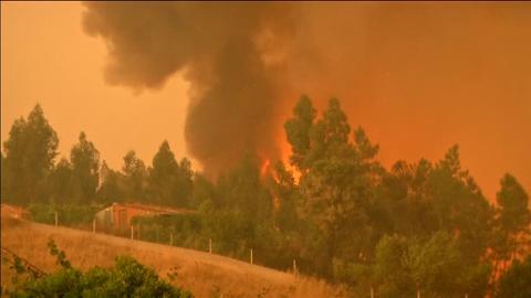 La carretera de Portugal que se convirtió en una ratonera mortal
