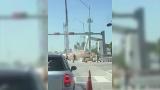 Una negligencia causó el derrumbe del puente de Miami