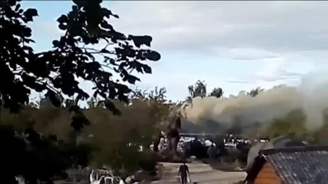 Dinosaurio convertido en dragón