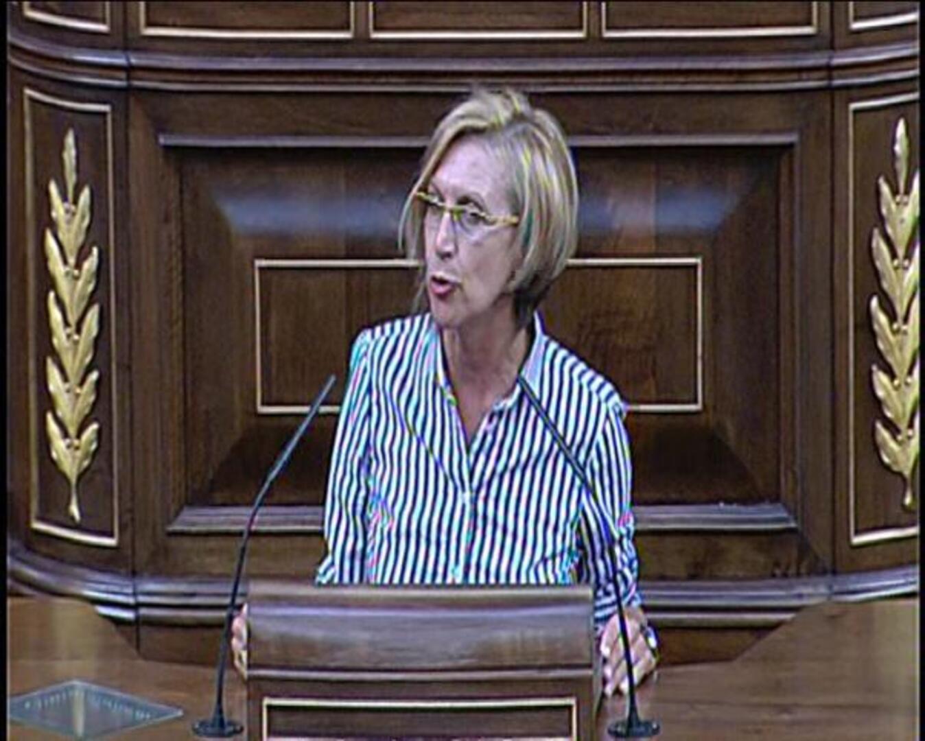 El Grupo Mixto rechaza la aprobación de la reforma de la Constitución sin debate ni referéndum