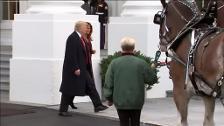 Llegan a la Casa Blanca dos pavos para la cena de 'Acción de Gracias'