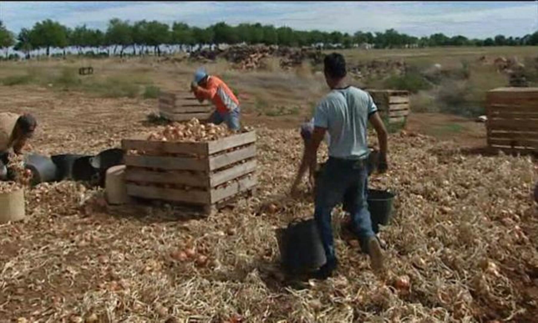 Bruselas autoriza a España a que limite la entrada de rumanos hasta finales de 2012