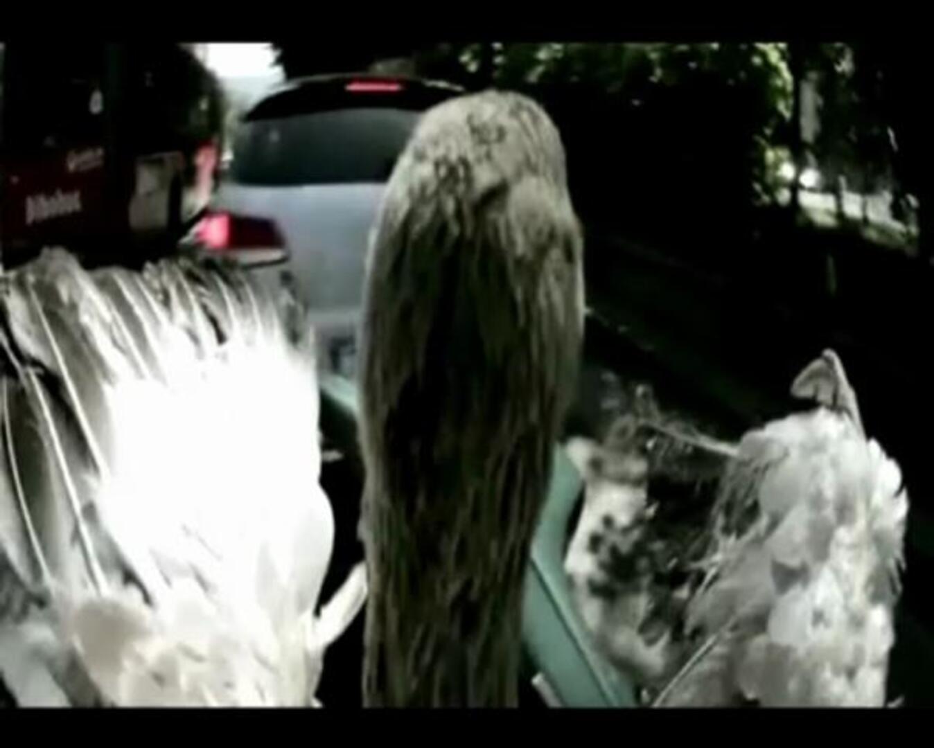 La DGT lanza una campaña para que los conductores no «hagan el ganso» en la carretera