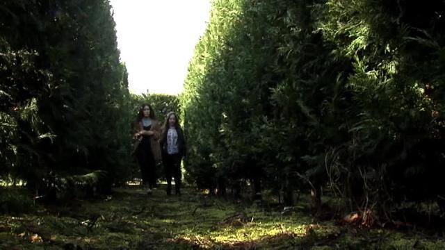 Laberinto de Villapresente