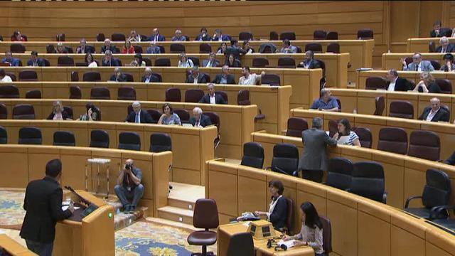 Imagen de Mulet durante el pleno del pasado martes