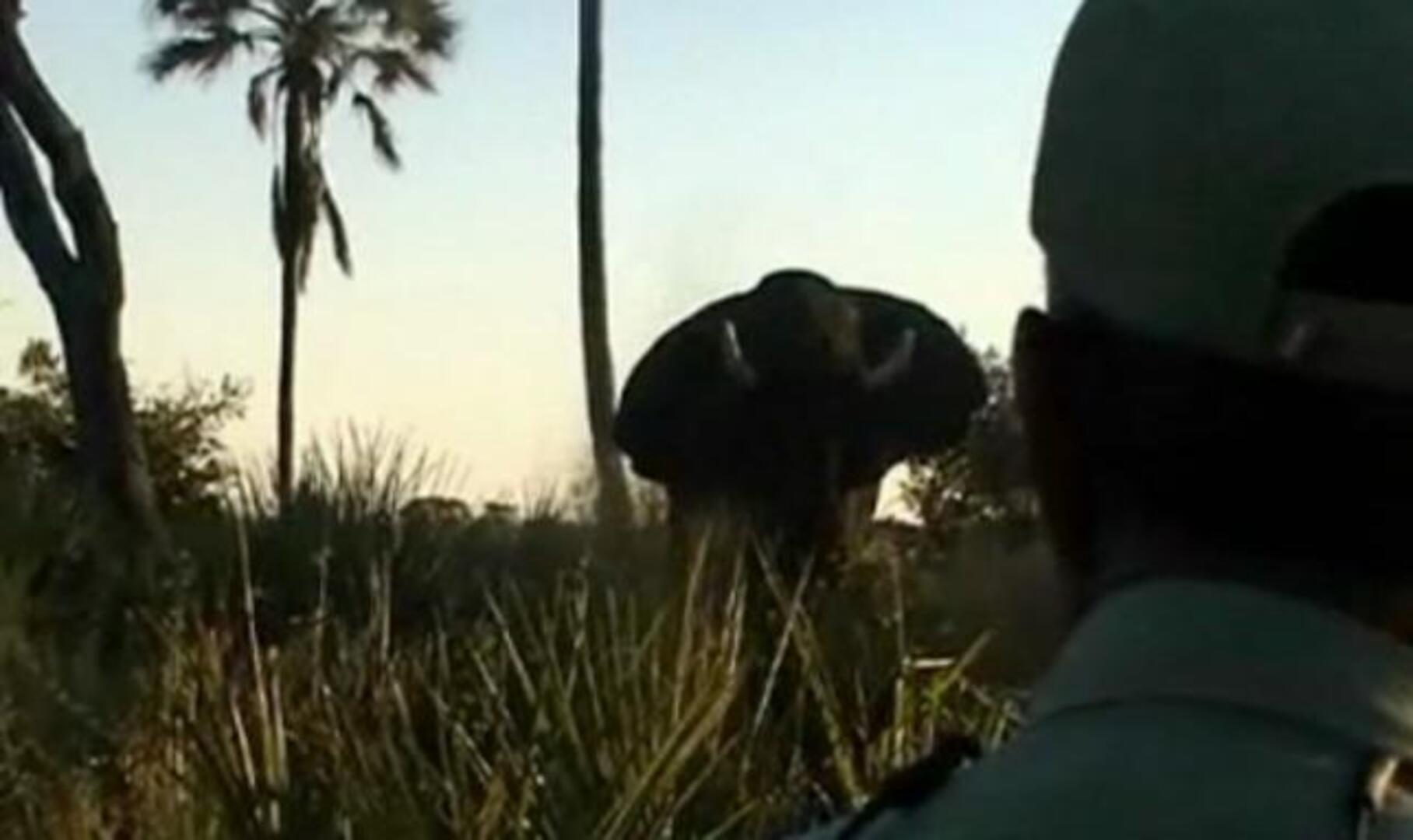 Los españoles aceptan las disculpas del Rey: «Ha dado la cara»