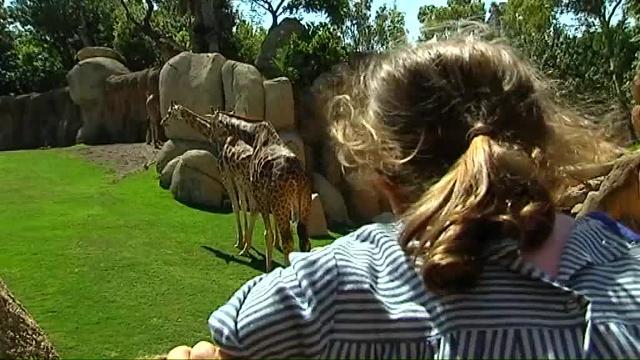 Imagen del momento del alumbramiento