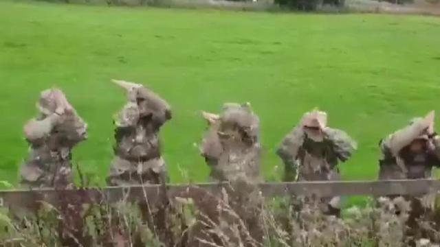 &#039;BabySharkChallenge&#039;, el nuevo reto viral que inunda las redes sociales