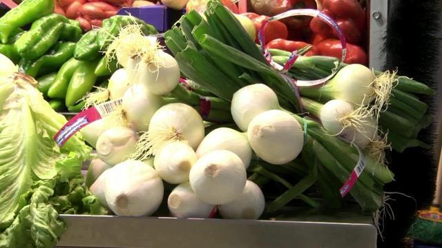 El precio de la luz bajó en febrero en comparación con enero